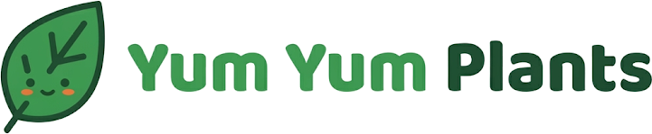 Yum Yum Plants